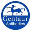 Gentaur Antibodies